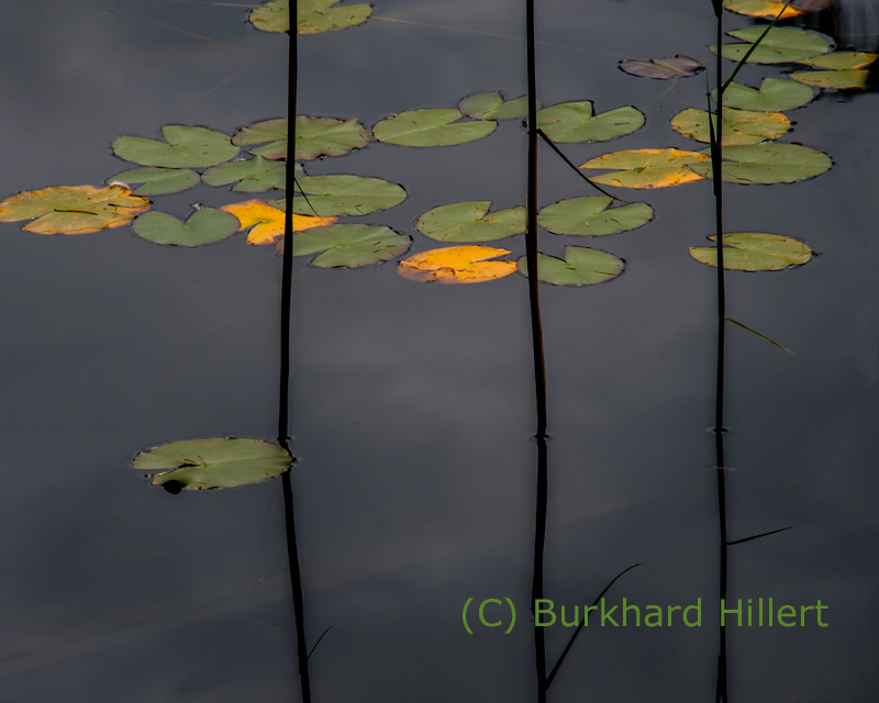 bild12